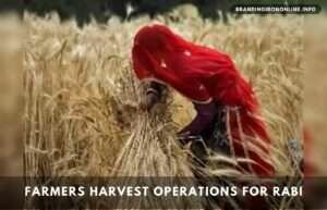 Good news for farmers Harvest operations for Rabi: Harvest operations not hampered by 2nd wave of COVID-19